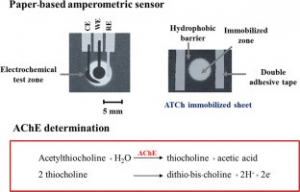 amperometric