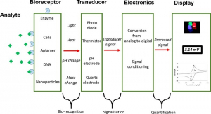 electronic biosensor1