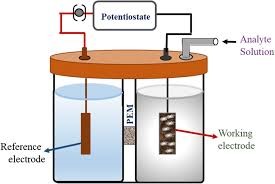 potentiometric sensor